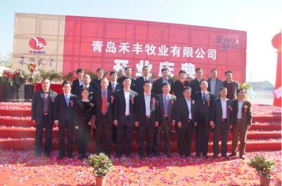 青島神豐牧業